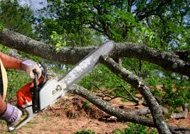 Best Landscape Design and Installation  in Glen Alpine, NC